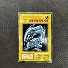 遊戯王　青眼の白龍　ステンレス　1枚 PSA10】 青眼の白龍 ステンレス 1枚の通販 UCC（1106921365） | magi