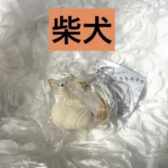 こっさん。様専用【正規品うちの子のけだまだま 犬 柴犬 黒柴