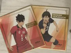 黒尾鉄朗 山口忠 色紙