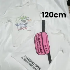 120cm 白Tシャツ　セット　２枚　夏服　トップス　男の子　ホワイト