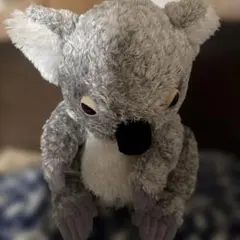 ニトリ Nウォーム コアラ ぬいぐるみ M 抱き枕 廃盤 - メルカリ