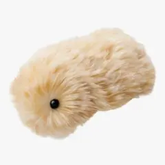 2025年最新】CASIO ぬいぐるみ本体の人気アイテム - メルカリ