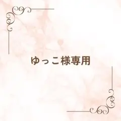 NEW エコシャワーⅡ 【新品未使用】