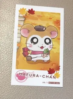 ● ハム太郎 マフラーちゃん メモリーズスナップ　京まふ　ハムタウンショップ