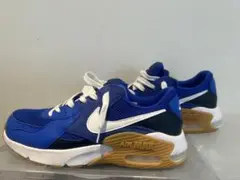 Nike Air Max スニーカー ブルー　26cm ほぼ新品