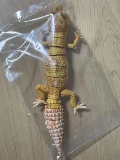 レオパードゲッコー（トレンパーアルビノ）　いきもの大図鑑アドバンス　生き物