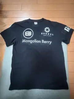 BANDEL P.K. MUAYTHAI GYM メンズTシャツ ブラックのサムネイル