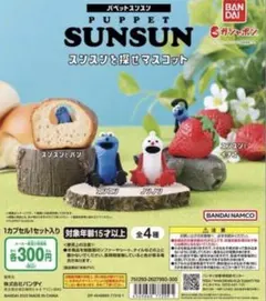 ⭐️スンスンを探せマスコット⭐️全4種類コンプリートセット！