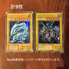 遊戯王 ブルーアイズホワイトドラゴン 　レッドアイズブラックドラゴン