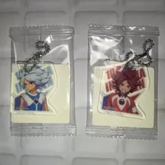 イナズマイレブン　アクリミニ　ガゼル　バーン　アクキー　アクリルキーホルダー