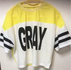 メッシュtシャツ