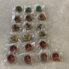 CENTRAL SPORTS 水泳チャレンジ ピンバッジ 19個セット
