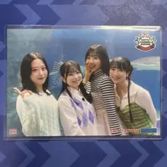 モーニング娘。'26 石田亜佑美 小田さくら 井上春華 弓桁朱琴 コレ写 15