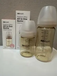 Item thumbnail for item a2398c01-b990-4372-8ddf-b28995639397