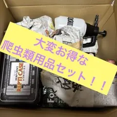 Item thumbnail for item 9ce0353c-0c7a-442d-892e-7c1fa54580f9