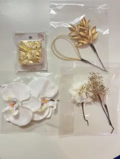 Item thumbnail for item ba58adb4-0b33-4fe5-8f7a-5053bdf056b9