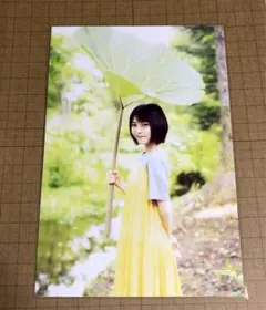 Item thumbnail for item 355d3315-a6c2-4946-b1e2-98be70943a86