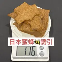 Item thumbnail for item 2a1eb7cb-92c6-46ab-81a4-f397ba17242a