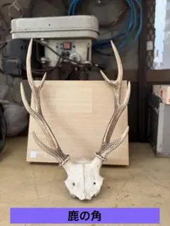 バサコン様 リクエスト 2点 まとめ商品