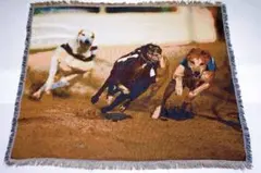 新品グレイハウンドレースデザインラグ 約150cm x 100cm 定価2万円