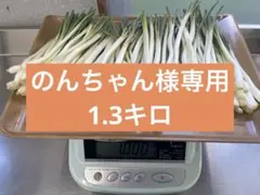 のんちゃん様専用 島らっきょう　1.3キロ