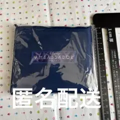 エコバッグ（ディズニーアンバサダーホテル宿泊者限定品）１個