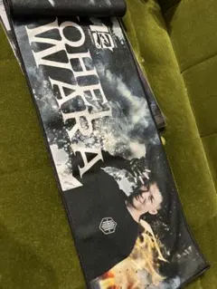 Item thumbnail for item 75cded30-2ccd-469d-a28b-02cc1fe874fc