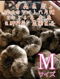 青森県産にんにくLサイズ土付き2キロ - メルカリ
