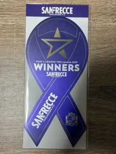 値下げ！湘南ベルマーレ　ルヴァンカップ優勝記念フォトフレーム試合球カット入り 値下げ！湘南ベルマーレ ルヴァンカップ優勝記念フォトフレーム試合球
