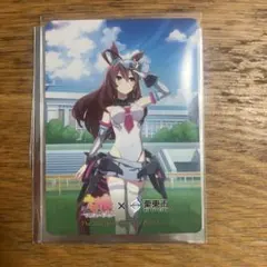 ウマ娘プリティーダービー 栗東市 ミホノブルボン コラボグッズ　4点セット ② ウマ娘 栗東市 コラボ ミホノブルボン トレーディングカード 2枚セット