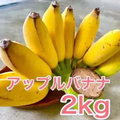 2025年最新】アップルバナナの人気アイテム - メルカリ