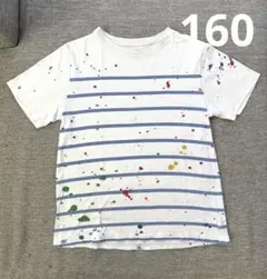 訳ありPOLO ストライプ ペイントスプラッシュ Tシャツ160