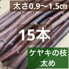 ケヤキの枝（太め）欅の枝　切り枝木の枝 　天然木　工作 15本 止まり木かじり木