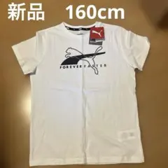 新品　160cm PUMA FOREVER FASTER ホワイト Tシャツ