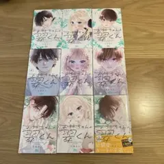 最終値下げお姉ちゃんの翠くん　全9巻セット 少女漫画