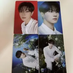 ジョンウォン トレカ セット