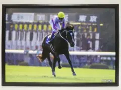 競馬 スペシャルウィーク パネル 日本の種牡馬