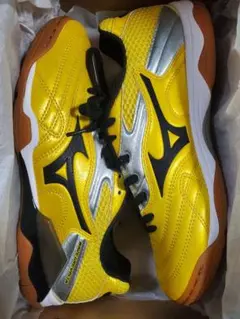 Item thumbnail for item fa07c11b-8644-422e-bef5-28107f457305