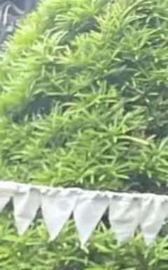 キキ＆ララ様専用