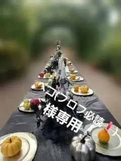 2025年最新】プロフ必読の人気アイテム - メルカリ