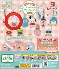 サンリオ めじるしアクセサリー チアリーチャム