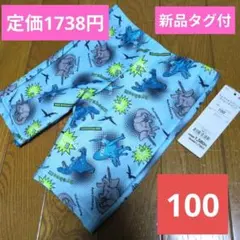 新品タグ付　恐竜　水色　水着　スイムパンツ　男の子　100