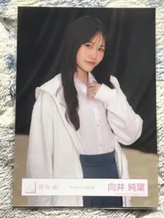 Item thumbnail for item ec3a7a50-cef1-4f2b-a94c-03d31dbee7bb