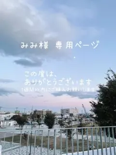 フェリチュール feliture 花束スフレブラ ブラ&ショーツセット 5点 S 2025-02-28-13-20-50-