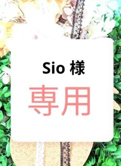 Sio 様　専用ページ