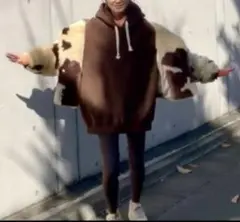 SeaRoomlynn ブラウン パーカー フーディー M