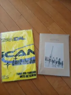 KASABIAN レコード2枚まとめ（レコード） - メルカリ