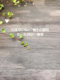 ♡えり♡ELI♡端午の節句セール29日♡様✨専用パーツ約5×3cm 4