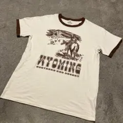 ホリスター　リンガーTシャツ