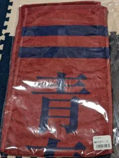 Item thumbnail for item bf211e15-3e5b-4f1f-83e0-4cb72267cf1f